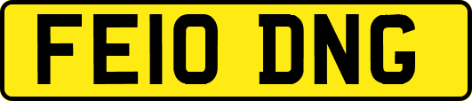 FE10DNG