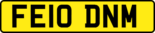 FE10DNM