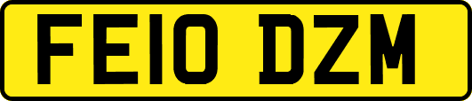 FE10DZM