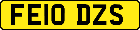 FE10DZS