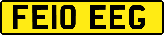 FE10EEG