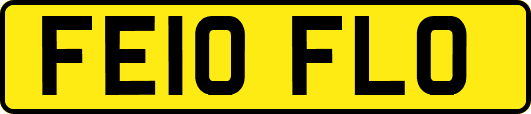 FE10FLO