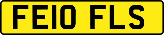 FE10FLS