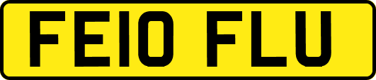 FE10FLU