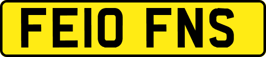 FE10FNS