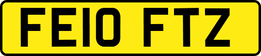 FE10FTZ