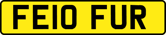 FE10FUR