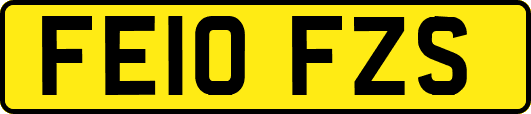 FE10FZS