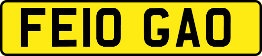 FE10GAO