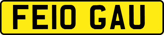 FE10GAU