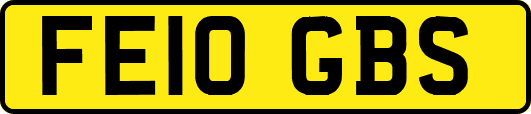 FE10GBS