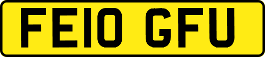 FE10GFU