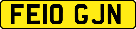 FE10GJN