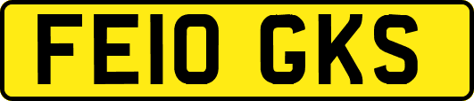 FE10GKS