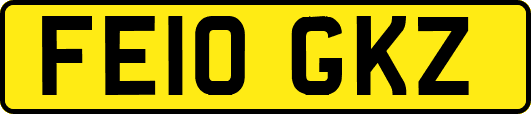 FE10GKZ