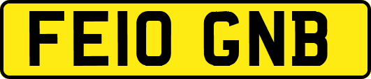 FE10GNB