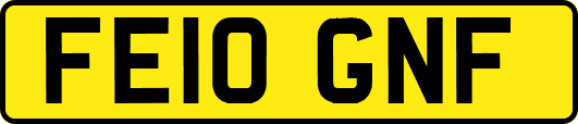 FE10GNF