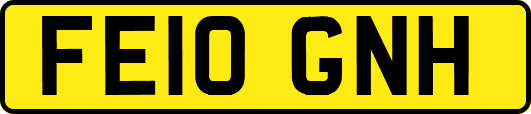 FE10GNH