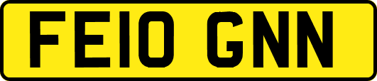 FE10GNN