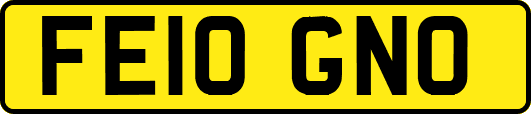 FE10GNO