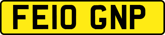 FE10GNP