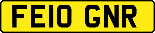 FE10GNR