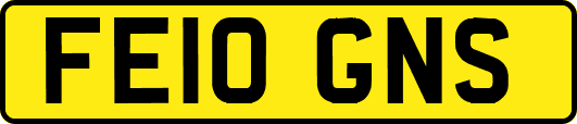 FE10GNS