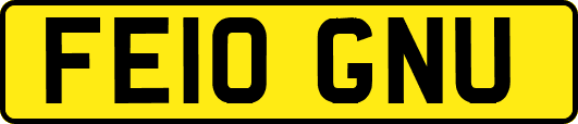 FE10GNU