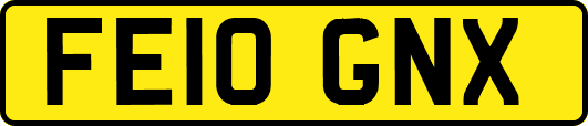 FE10GNX