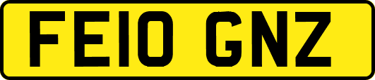 FE10GNZ