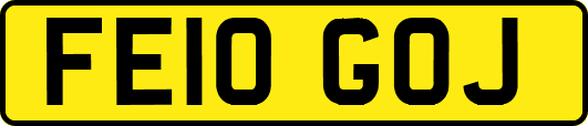 FE10GOJ