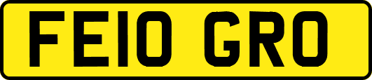 FE10GRO
