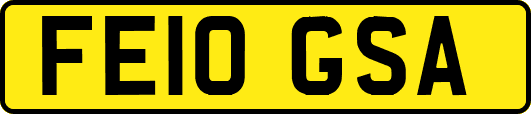 FE10GSA
