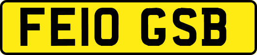 FE10GSB