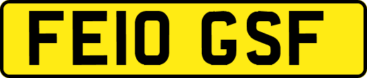 FE10GSF