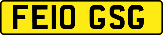 FE10GSG