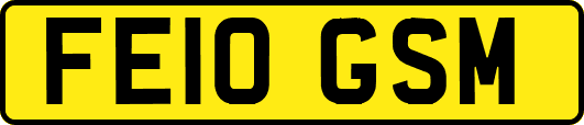 FE10GSM