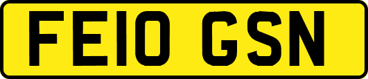 FE10GSN