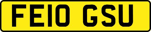 FE10GSU