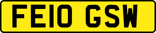FE10GSW