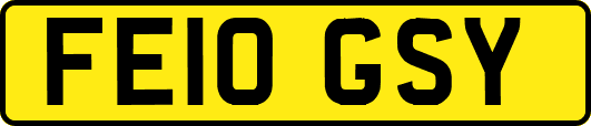 FE10GSY