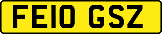 FE10GSZ
