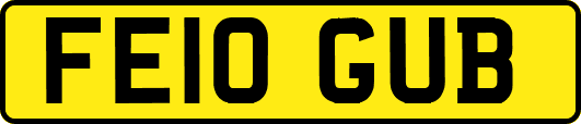 FE10GUB