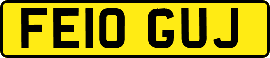 FE10GUJ