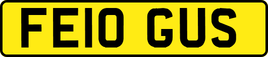 FE10GUS