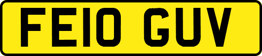 FE10GUV