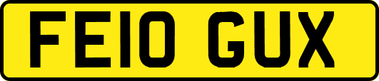 FE10GUX