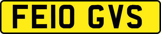 FE10GVS