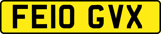 FE10GVX
