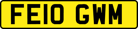 FE10GWM